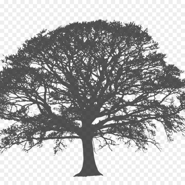 Дерево черно белое