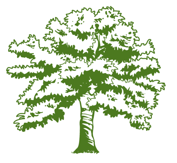 Дерево схематично