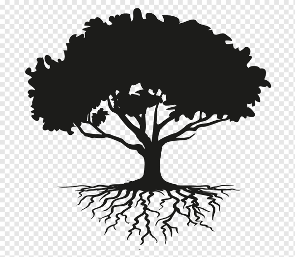 Дерево с корнями силуэт
