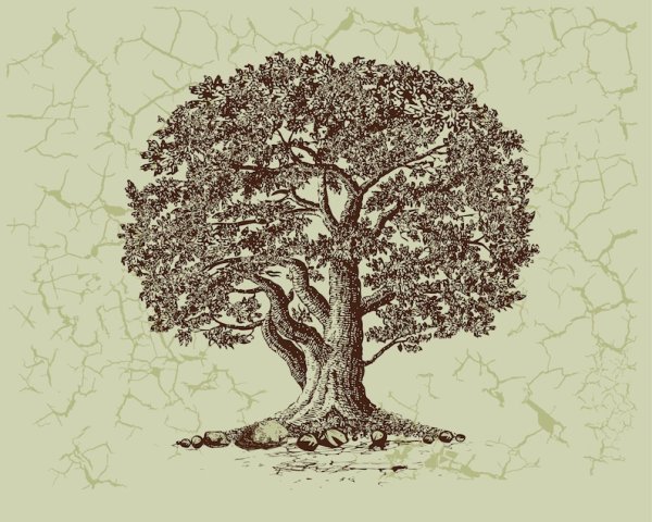 Мультяшные деревья