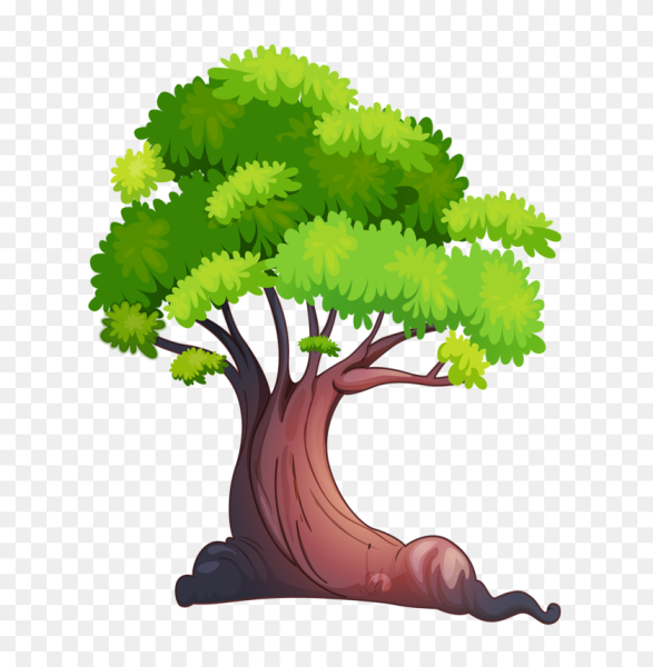 Дуб на белом фоне силуэт