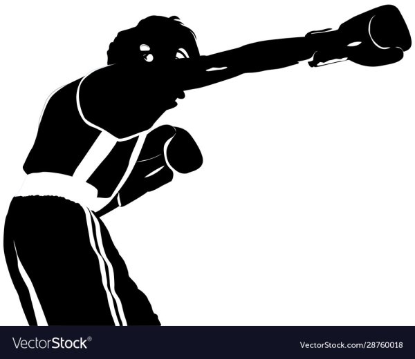 Перчатки для бокса