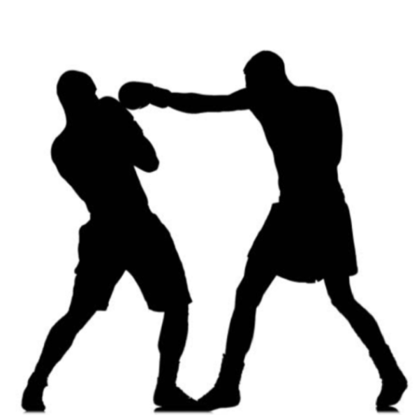 Перчатки для бокса Графика