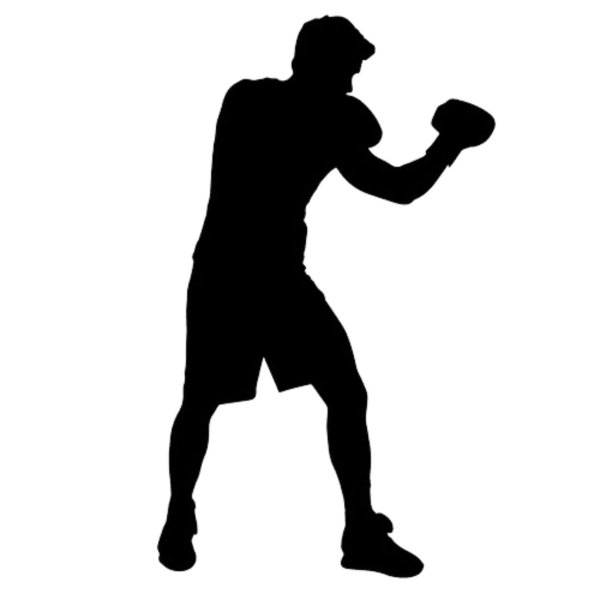 Боксёр в стойке силуэт