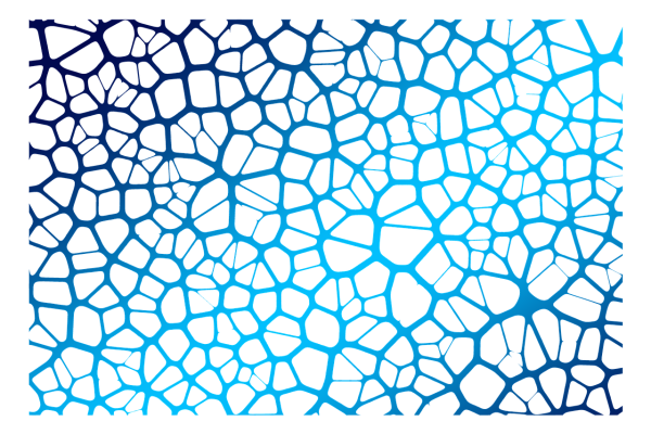 Векторная сетка