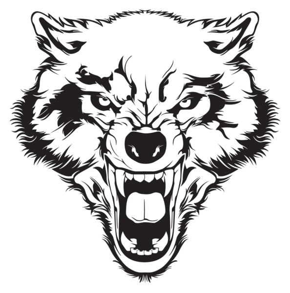 Морда волка