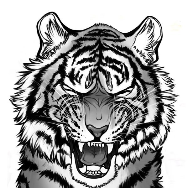 Тату тигр черно белый