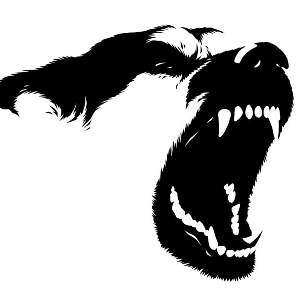 Собака оскал силуэт