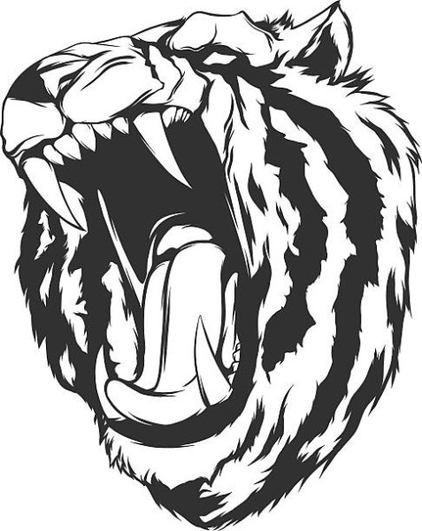 Тигр с открытой пастью вектор