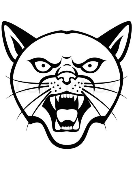 Злой кот голова