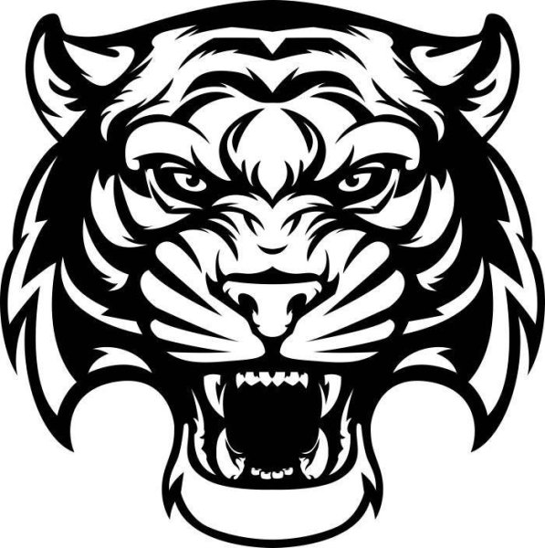 Оскал тигра