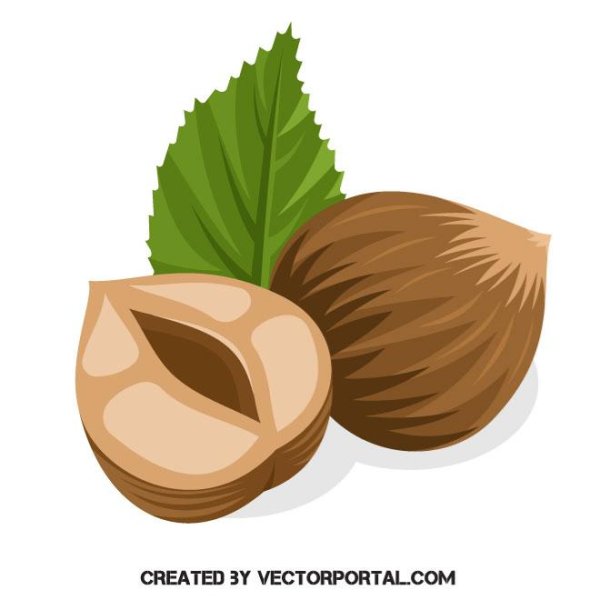 Нарисовать орех