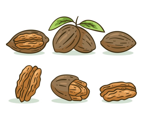 Стилизованные орехи