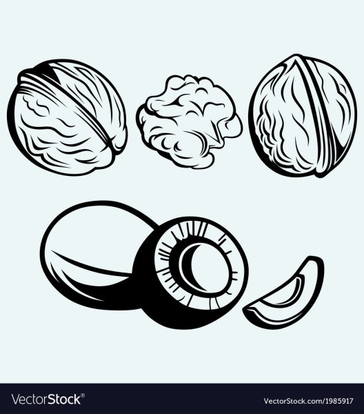 Стилизованные орехи