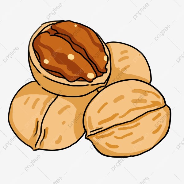 Орех иллюстрация