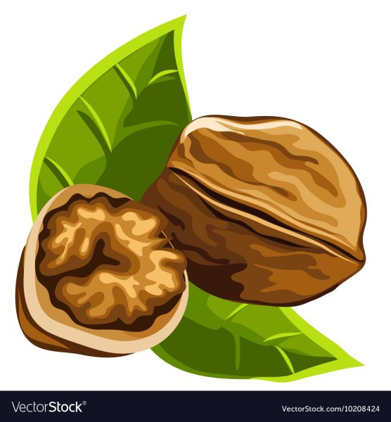 Крепкий орешек вектор