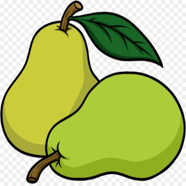 Груша рисунок