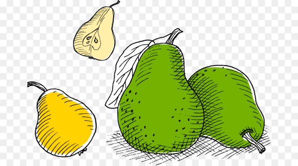 Нарисовать грушу