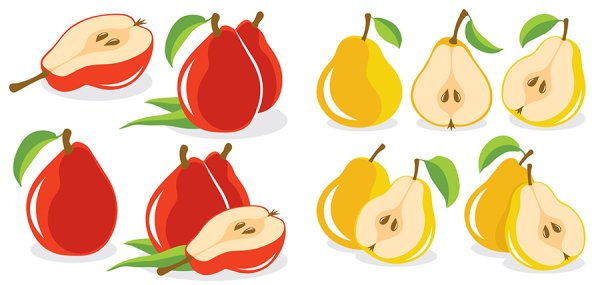 Груша разрезанная вектор