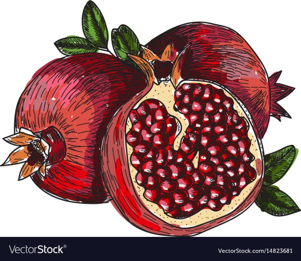 Гранат стилизованный