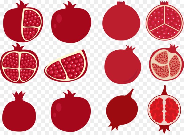 Гранат фрукт вектор