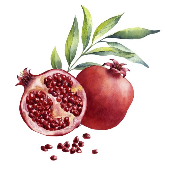 Нарисовать гранат