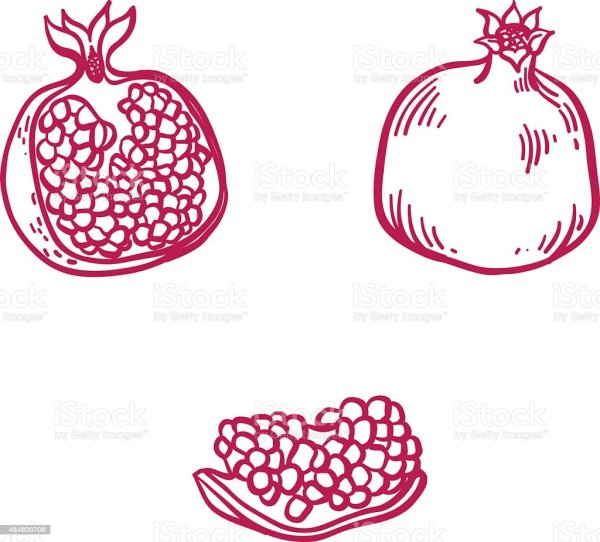 Силуэт граната фрукт