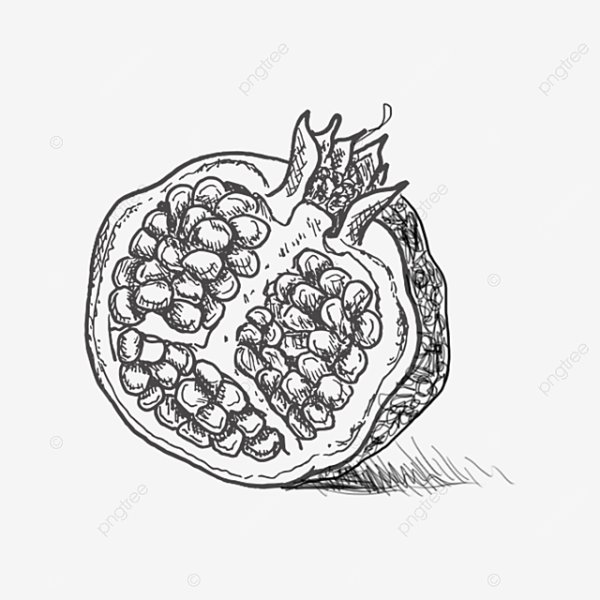 Гранат в графике