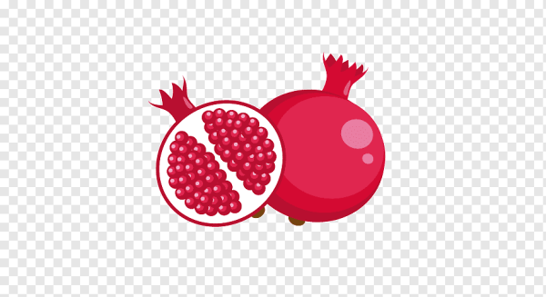 Силуэт граната фрукт