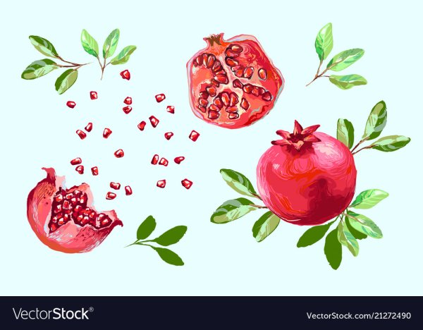 Нарисовать граната листья