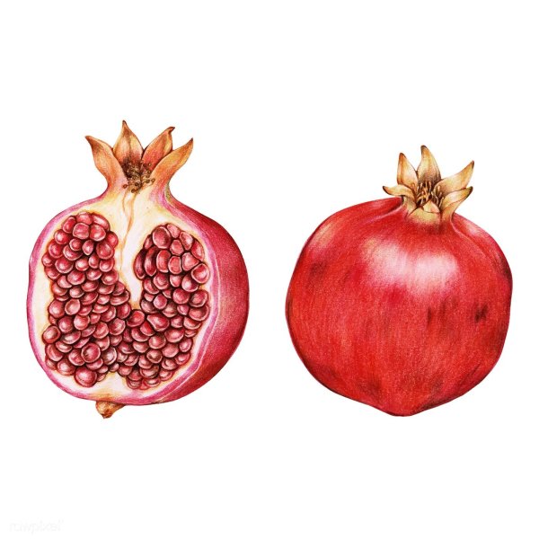 Гранат иллюстрация