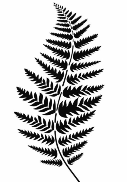 Папоротник силуэт