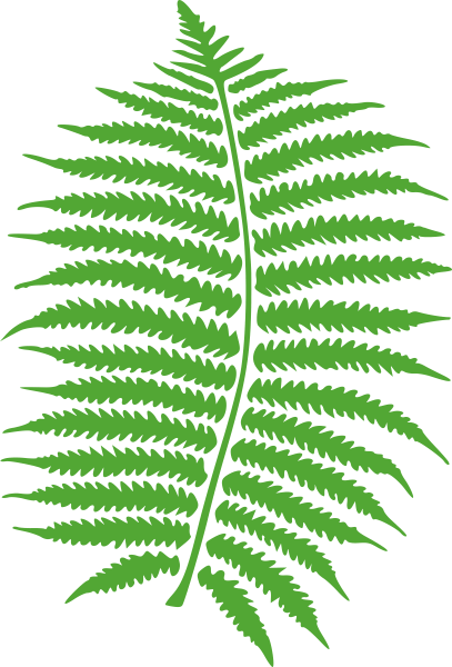 Папоротник СВГ