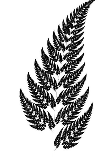 Папоротник тату эскиз