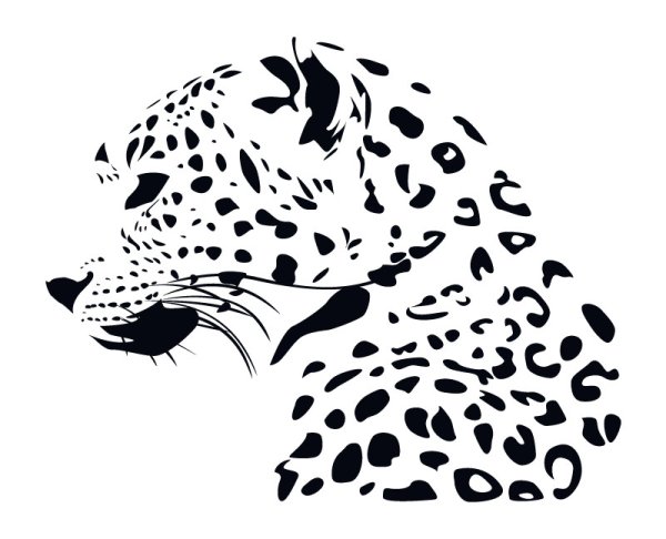 Леопард векторный рисунок (57 фото) » Рисунки для срисовки и не только