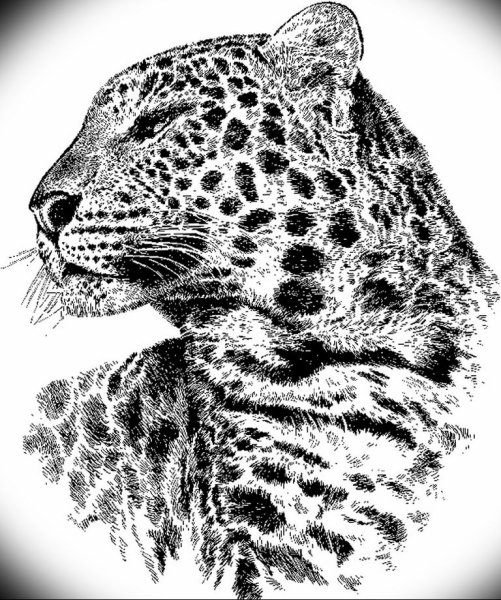 Ягуар тату эскизы