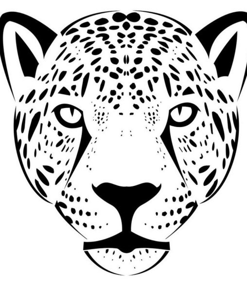 Голова леопарда