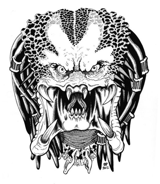 Хищник черно белый