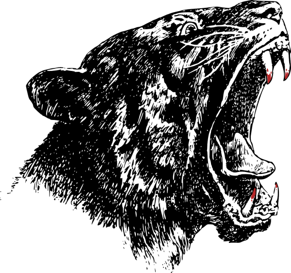 Оскал медведя