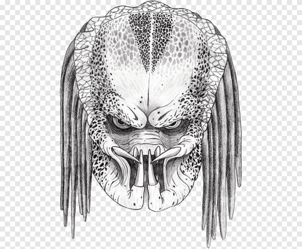 Хищник Графика