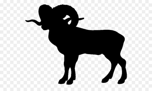 Горный баран силуэт