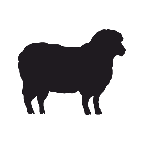 Овца силуэт