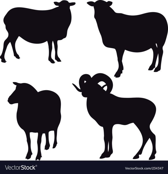 Баран векторный