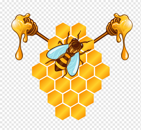 Пчелы и мед