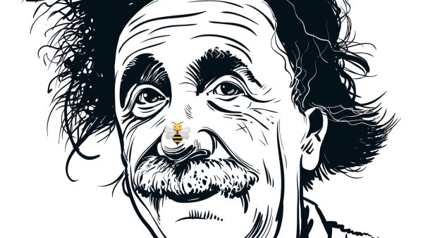 Альберт Эйнштейн вектор прикольчики