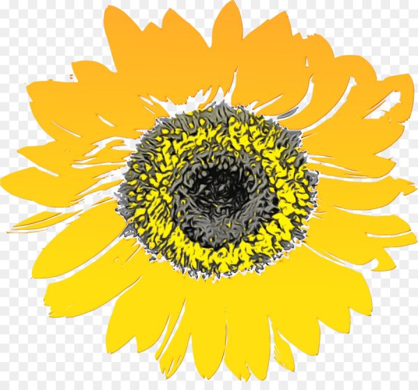 Подсолнух логотип