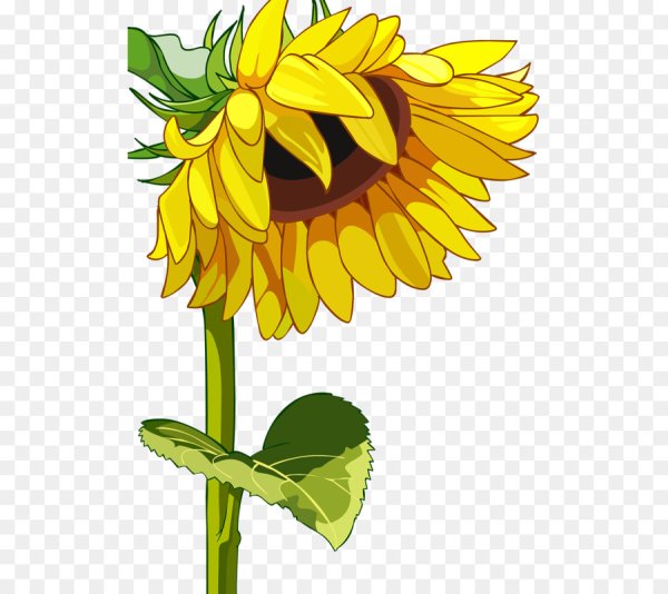 Векторный подсолнух
