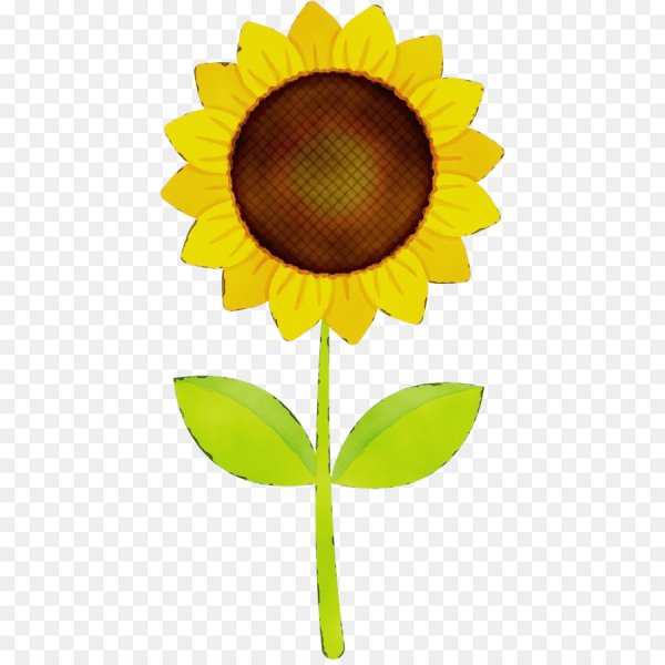 Подсолнух мультяшный
