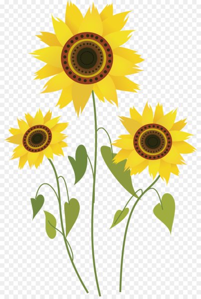 Подсолнух для детей