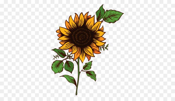 Векторный подсолнух